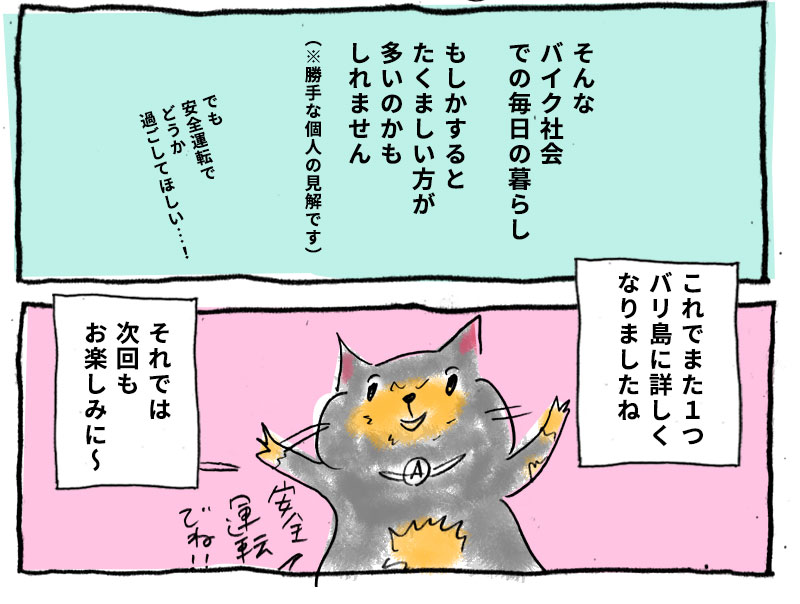 バリネコちゃん連載、次回もお楽しみに
