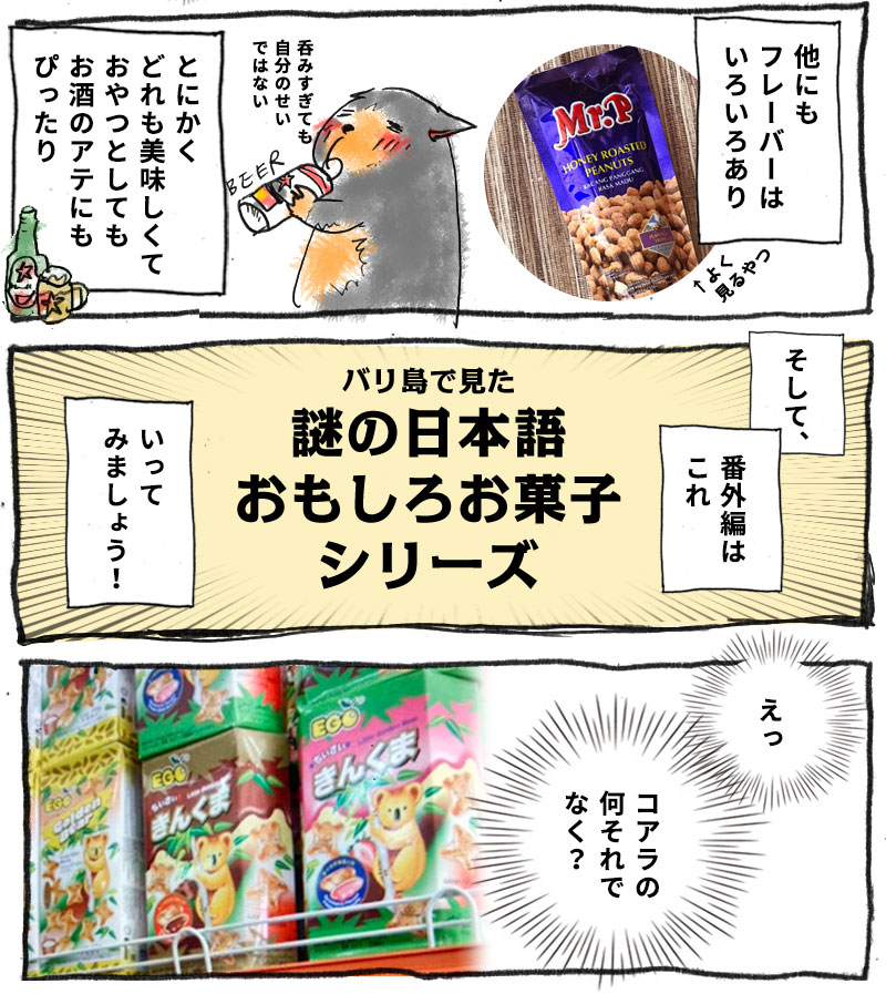 バリ島で見た！謎の日本語おもしろお菓子シリーズ