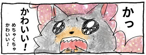 無料連載バリネコちゃん第3話