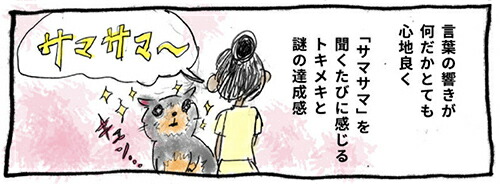 無料連載バリネコちゃん第4話