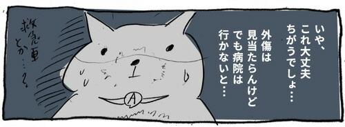 無料連載バリネコちゃん第5話