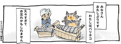 無料連載バリネコちゃん第8話