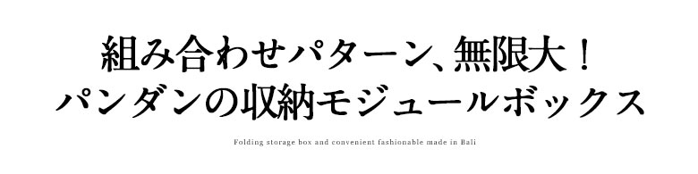 パンダン製モジュールボックス