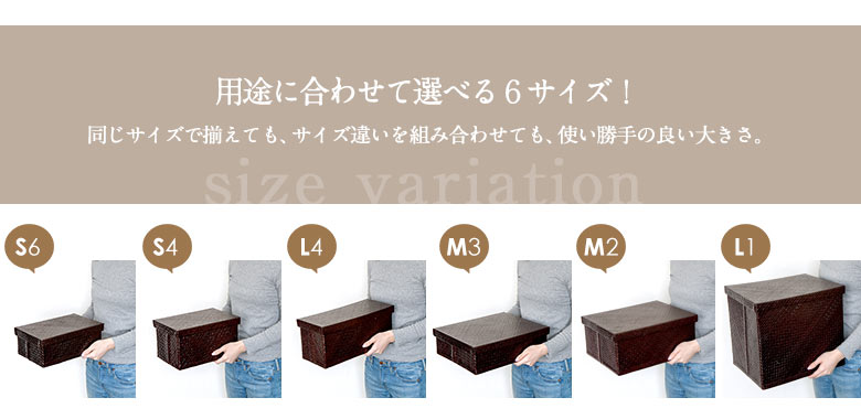 パンダン製モジュールボックス