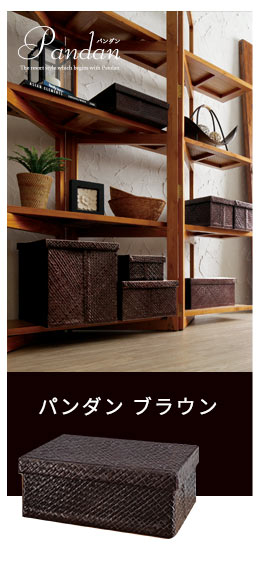パンダン製モジュールボックス