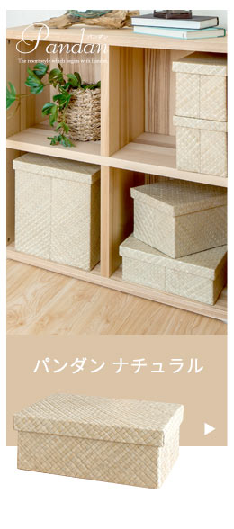 パンダン製モジュールボックス