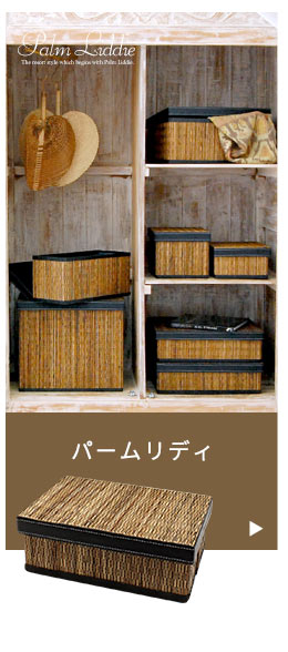 パンダン製モジュールボックス