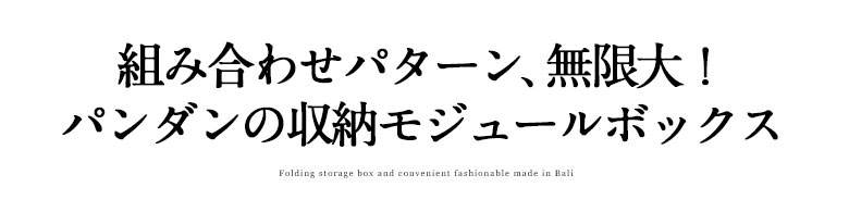 パンダン製モジュールボックス