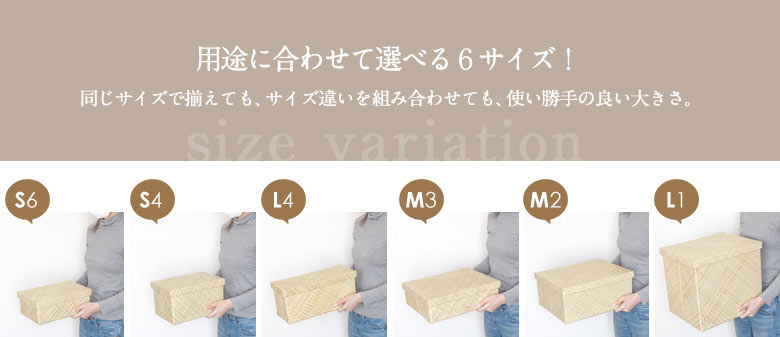 パンダン製モジュールボックス