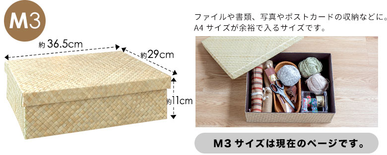 パンダン製モジュールボックス