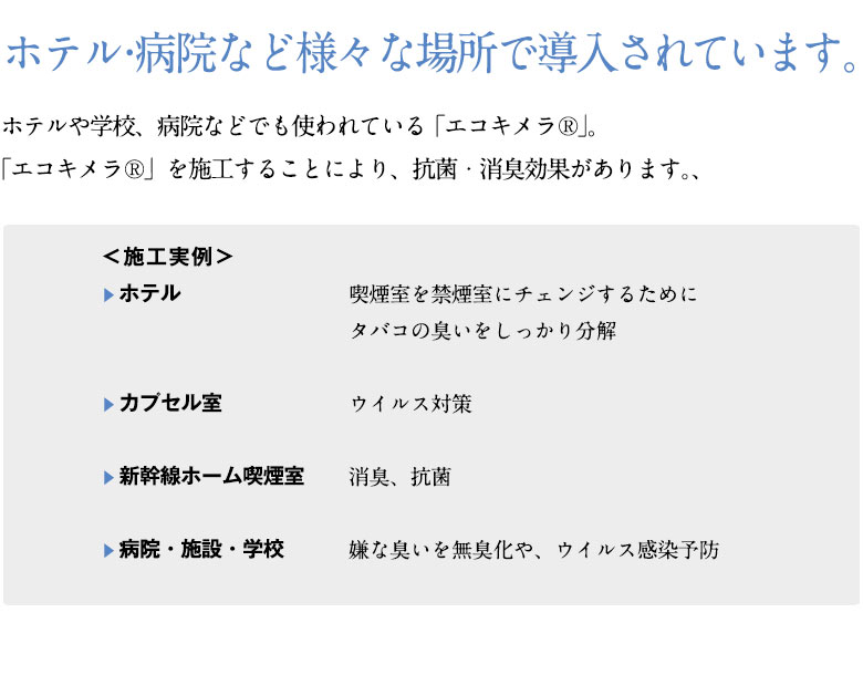 天然コルク使用コルクカーペット 消臭抗菌加工 エコキメラ