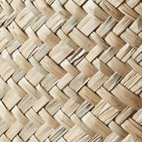 �V�[�O���X