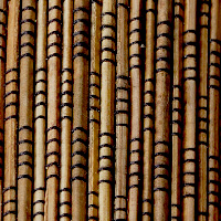 �p�[�����f�B