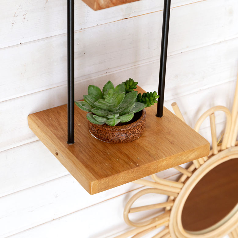 3号鉢が程よく収まります