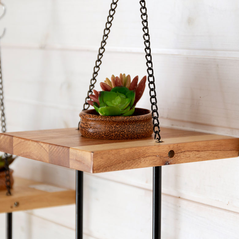 ちょっとした植物を飾って