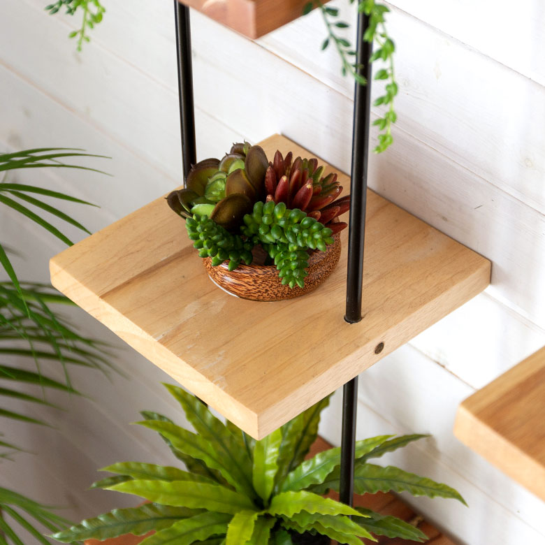 ちょっとした植物を飾って