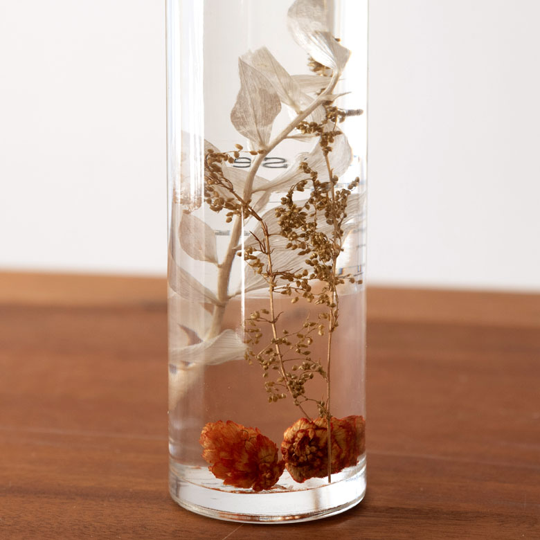 見ているだけで癒される美しい花たち