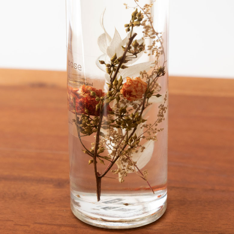 見ているだけで癒される美しい花たち