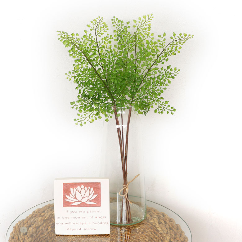 アジアンタム(3本入り)