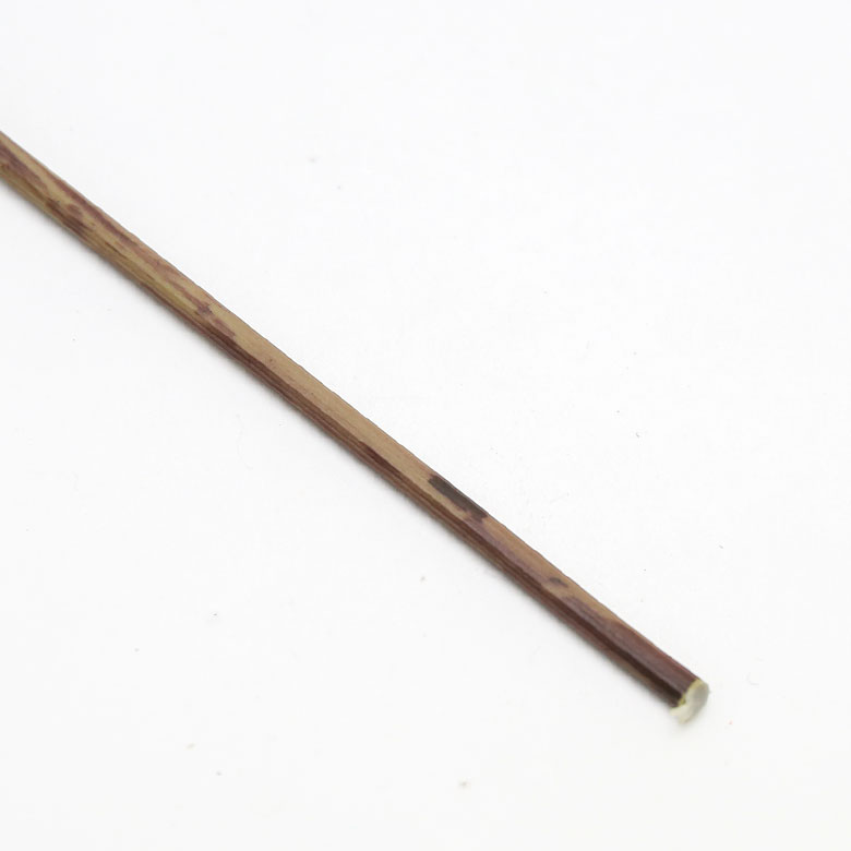 枝も忠実に再現