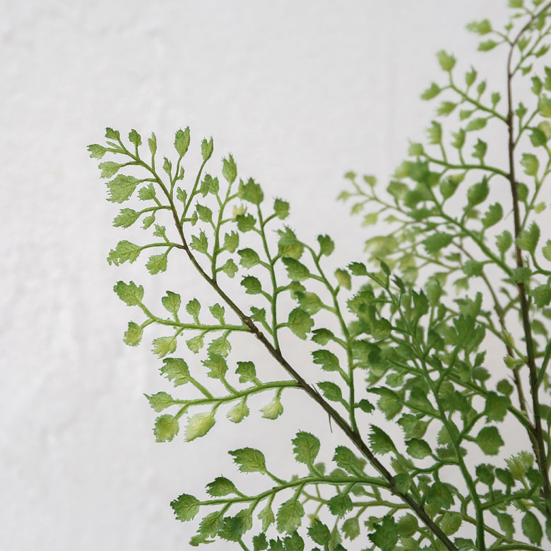 グリーンを取り入れて、癒しのあるお部屋に