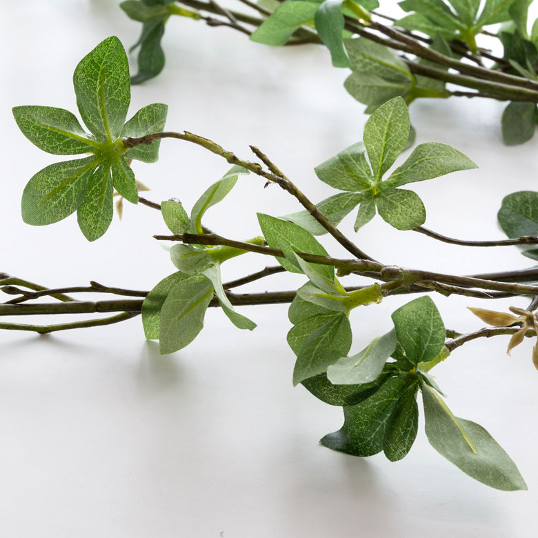 グリーンを取り入れて、癒しのあるお部屋に