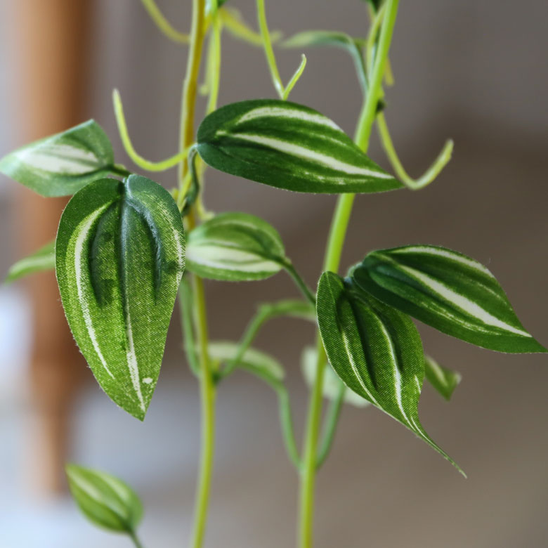 本物そっくりのフェイク植物