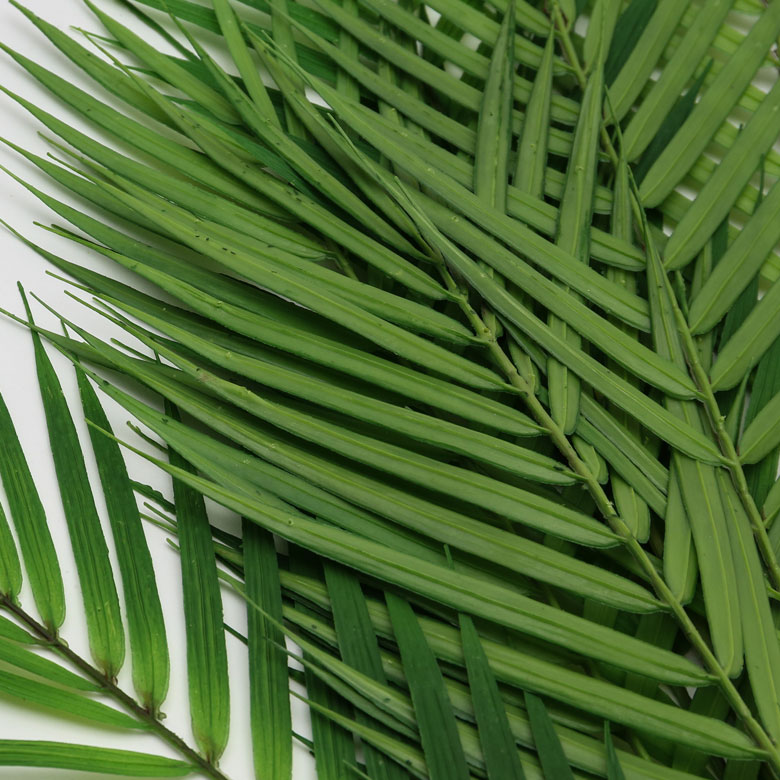 触らないとわからないようなリアルさは、本物さながら！