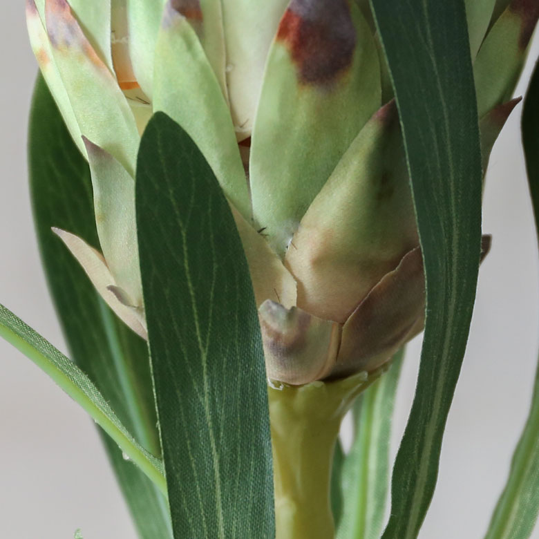 葉の裏側も本物みたいにリアル