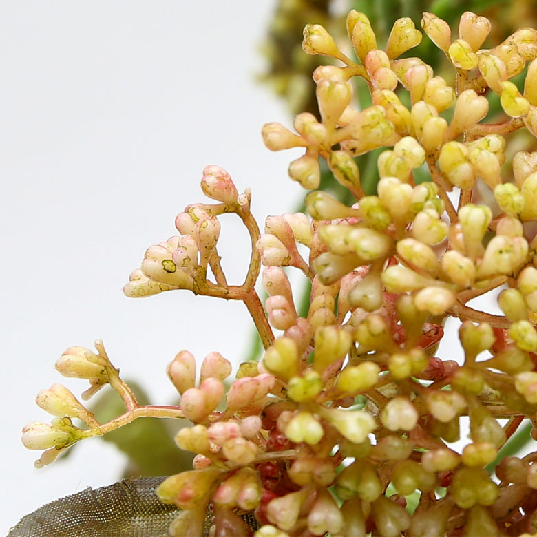 本物そっくりのフェイク植物