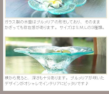 横から見ると、深さも十分あります。プルメリアが咲いたデザインがオシャレでインテリアにピッタリです♪