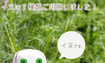 イヌの２種類ご用意しました！