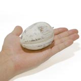 木彫りのアジアンフルーツセット