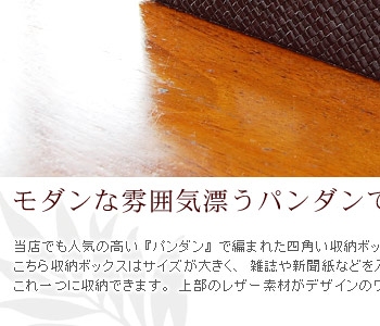 こちらの収納ボックスはサイズが大きく、雑誌や新聞紙などを入れたり、散らかる小物をこれ一つに収納できます。
