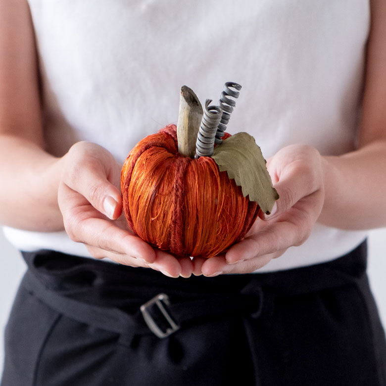 手に持つとこのくらいの大きさ