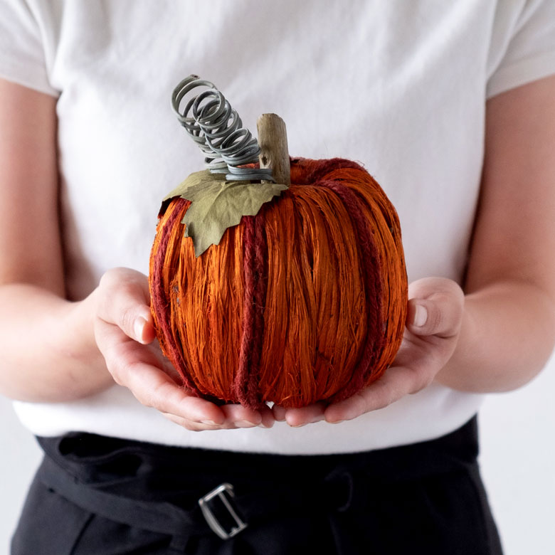 手に持つとこのくらいの大きさ