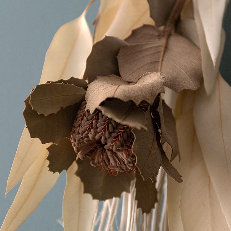 ホワイト：ホワイトティー