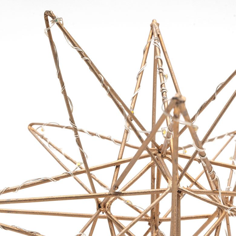 LEDライト デコレーション　ワイヤー ステラ