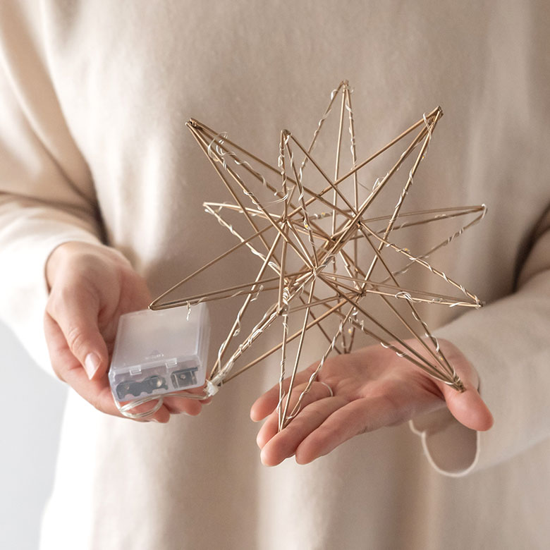 LEDライト デコレーション　ワイヤー ステラ