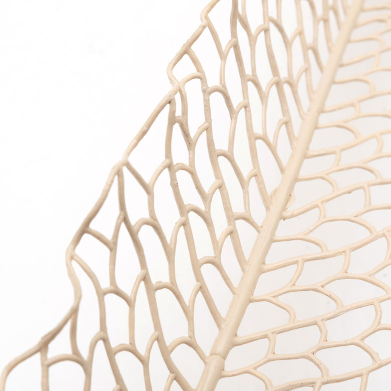 メッシュコーラルリーフ アイボリー