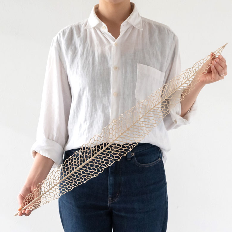 メッシュコーラルリーフ アイボリー