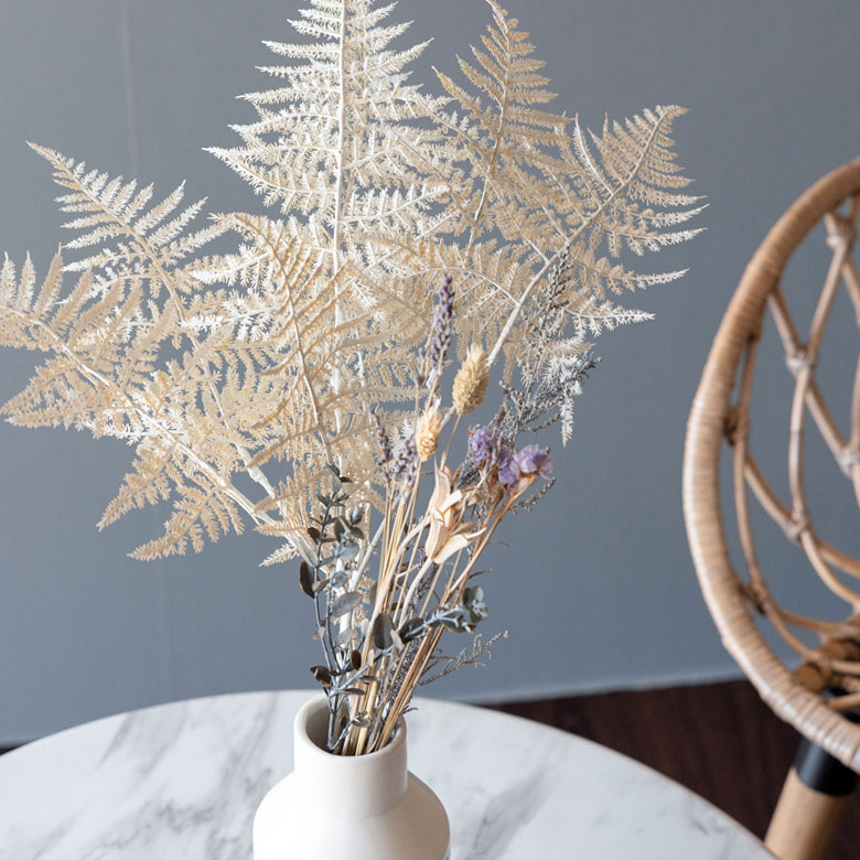 ブランカアスパラガス