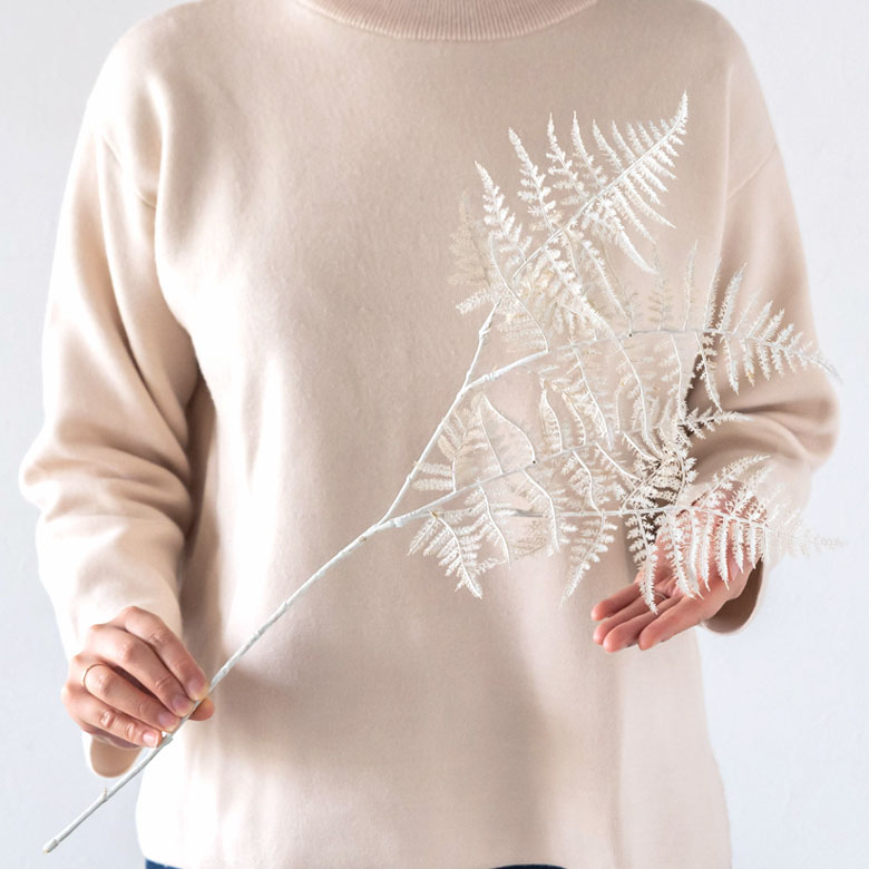 ブランカアスパラガス