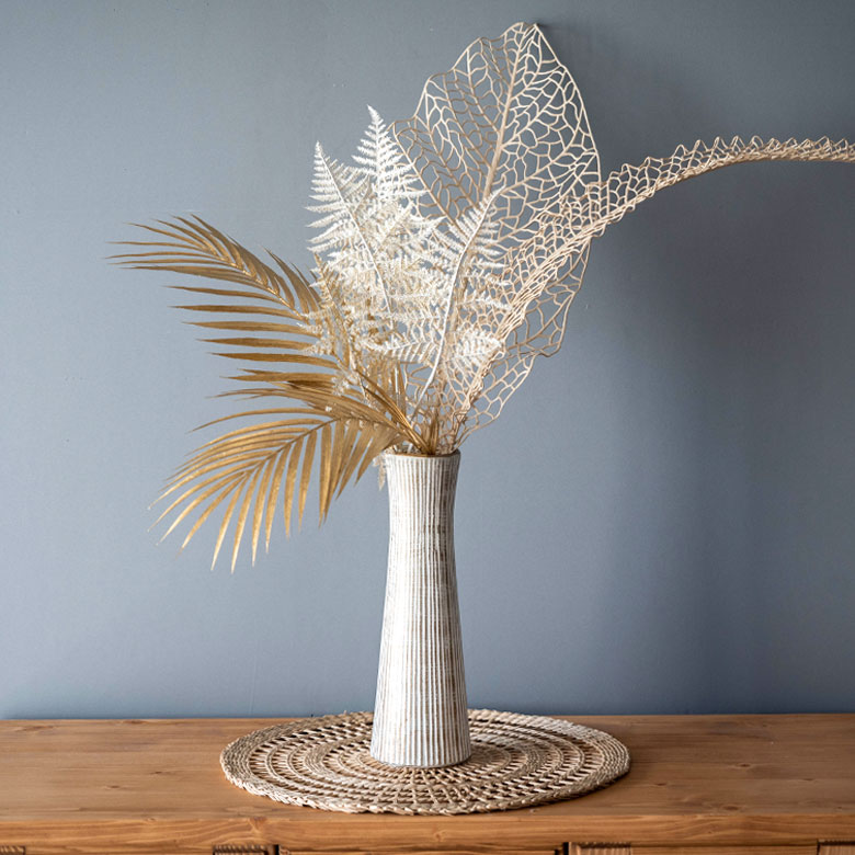 ブランカアスパラガス