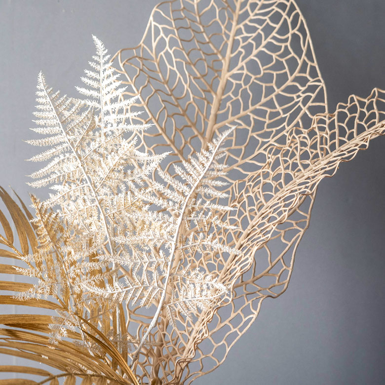 ブランカアスパラガス