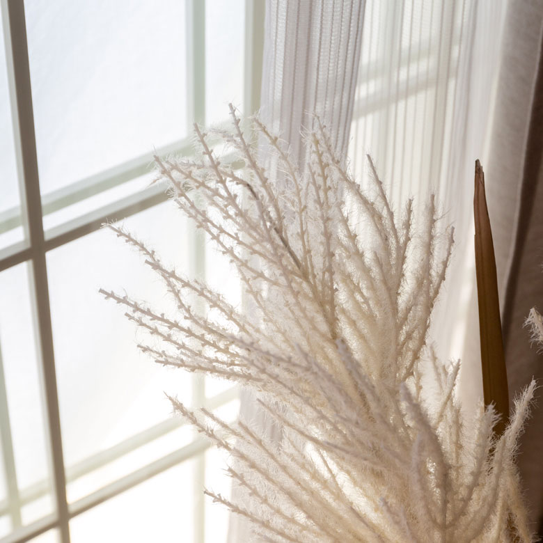 パンパスグラス