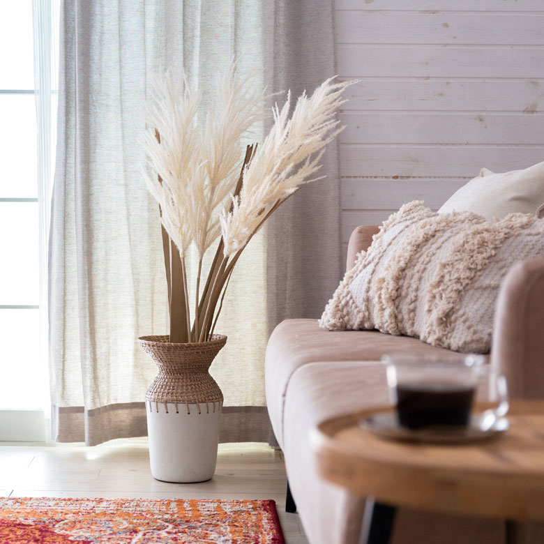 パンパスグラス