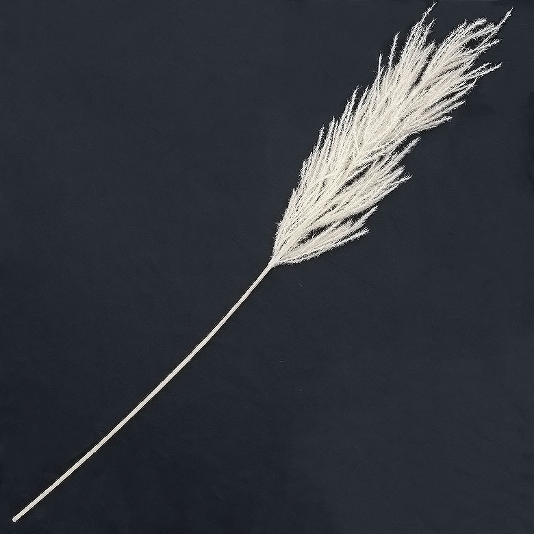 パンパスグラス