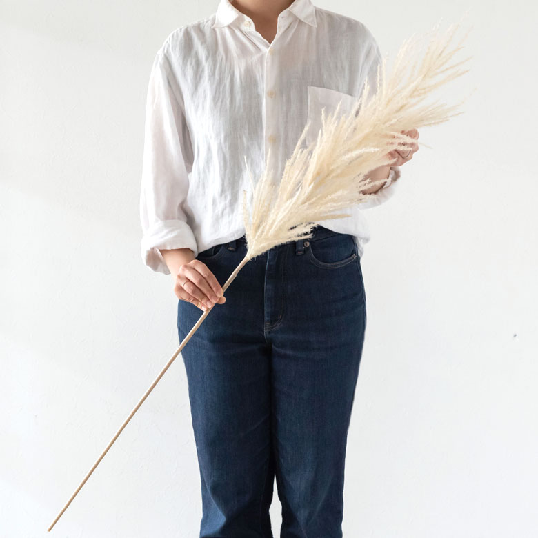 パンパスグラス