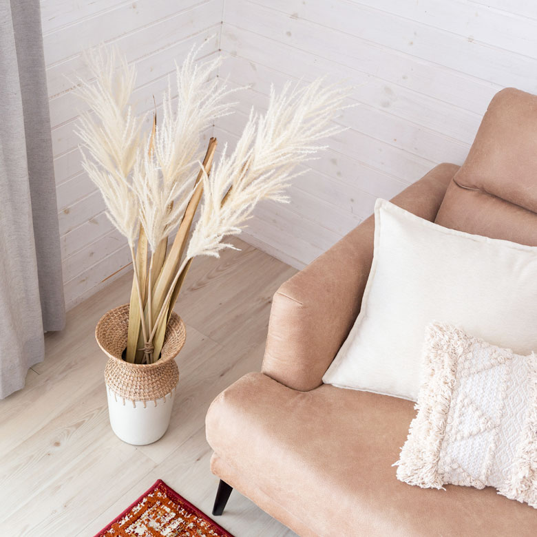 パンパスグラス